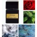 عطر تيزيانا تيرينزي اكستاسي اكستريت دي بارفيوم